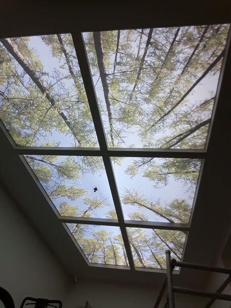 Stretch Ceiling Design Modern, Glass False Ceiling Design, Stretch Ceiling Design, Theater Ceiling, Roof Skylight, Cloud Ceiling, Skylight Design, Glass Canopy, Stretch Ceiling