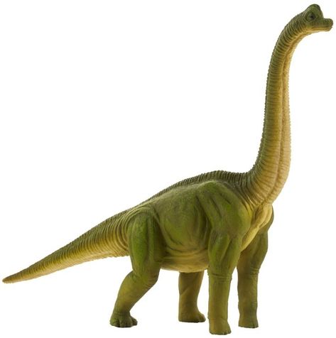 Dinosaur Realistic, Dinosaur Brachiosaurus, Dinosaur Clothing, Dinosaur Figurine, Little Live Pets, Animal Help, Dinosaurs Figures, Dinosaur Art, Prehistoric Animals