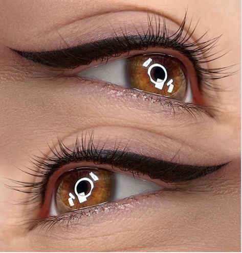 Brow Salon Ideas, Eyeliner Permanent Makeup, Eyebrow Images, Eye Lash Design, Semi Permanent Eyeliner, Mircoblading Eyebrows, Makeup Studios, Phibrows Microblading, Permanent Makeup Eyeliner