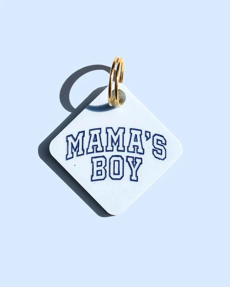 Boy Puppy Accessories, Boy Dog Accessories, Funny Dog Tags, Cute Dog Tags, Preppy Dog, Dogs Diy Projects, Spoiled Pets, Company Swag, Navy Bean