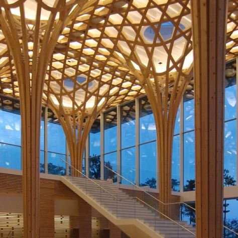 Tectonic Architecture, Biomimicry Architecture, Architecture Structure, Shigeru Ban, Timber Architecture, Pavilion Architecture, Bamboo Architecture, Parametric Architecture, Wood Architecture