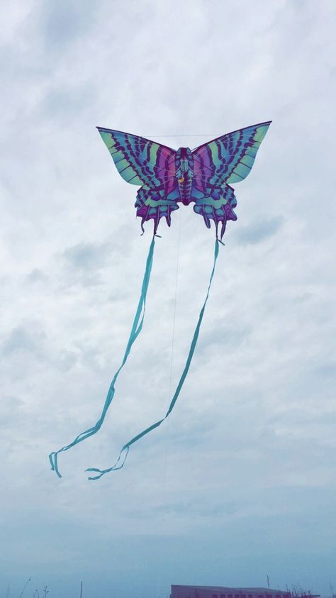 Pretty butterfly kite Butterfly Kite, Kite Designs, Pretty Butterfly, Xmas List, Kites, Spring Vibes, Pink Butterfly, Boats, Pink