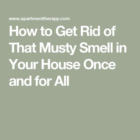 How to Get Rid of That Musty Smell in Your House Once and for All House Smells Musty How To Get Rid, Great Smelling House, How To Get Rid Of Odors In House, Musty House Smell How To Get Rid, Stinky House How To Get Rid, How To Get Rid Of Moisture In House, How To Remove Musty Smell From House, Get Rid Of Musty Smell In House, Get Rid Of Basement Smell