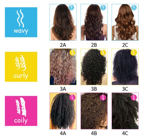 Hair Texture Chart, Pelo Ondulado Natural, Types Of Curly Hair, Hair Type Chart, Hair Chart, Curly Hair Beauty, Curly Hair Types, Hair Due, Natural Wavy Hair