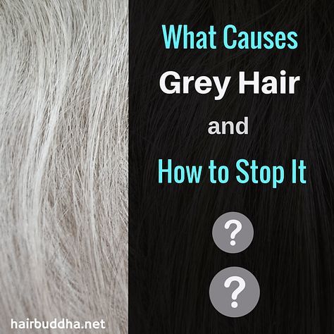 Grey Hair Modern, What Causes Gray Hair, Grey Hair Reversal, Stop Grey Hair, Older Hair, Grey Hair Remedies, Prevent Grey Hair, Reverse Gray Hair, Grey Hair Care