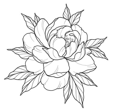 Geometric Flower Drawing, Peony Linework, Flower Tattoo Black And Grey, Peony Tattoo Sketch, Peony Line Drawing, Peony Flower Drawing, Peony Outline, Peony Stencil, Peony Flower Tattoos