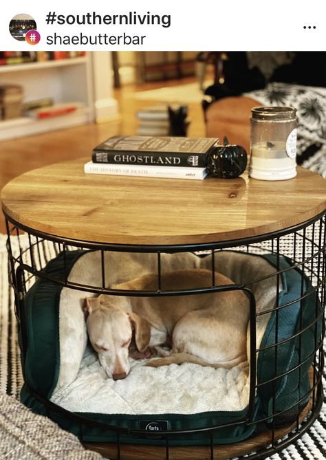 Coffee Table With Dog Bed Underneath, Small Dog Area In Apartment, Bedroom Ideas For Dogs, Apartment With Dog Aesthetic, Dog Cozy Corner, Small Space Dog Area, Pet Apartment Ideas, Dog Eating Area, Doggie Room Ideas