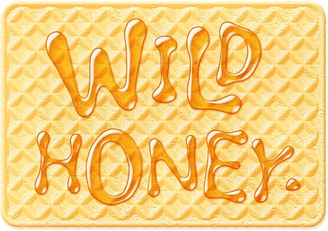 photoshop free font wild honey Honey Font, Experimental Type, Bullet Journal Month, Create Text, Kid Fonts, Wild Honey, Bullet Journal Themes, Special Words, Journal Themes