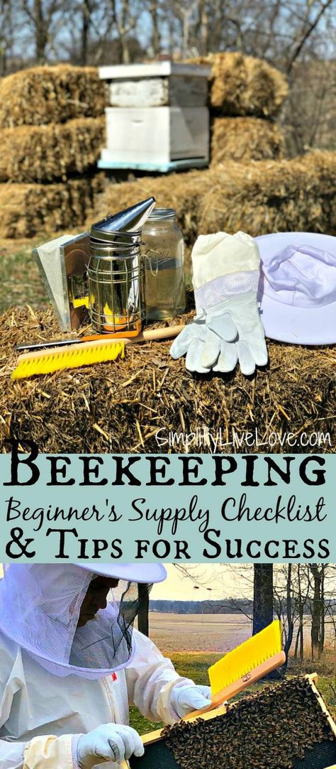 How To Start Beekeeping, Drone Bee, Backyard Bee, Beekeeping For Beginners, Raising Bees, Beekeeping Equipment, Backyard Beekeeping, Bee Keeping Supplies, Bee Boxes