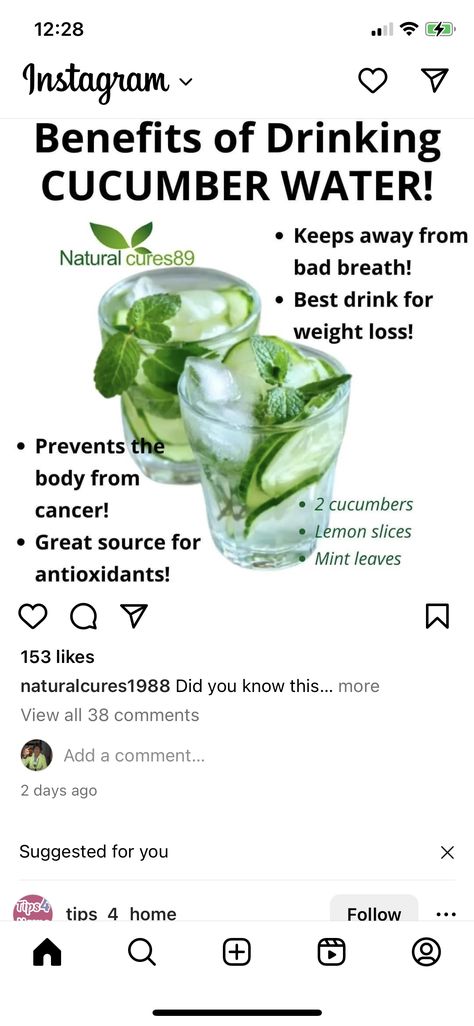 Benefits Of Mint Leaves, Mint Leaves Benefits, Healthy Water Drinks, Mint Water, Cucumber Water, Healthy Water, Healthy Foodie, Lemon Slice, Mint Leaves