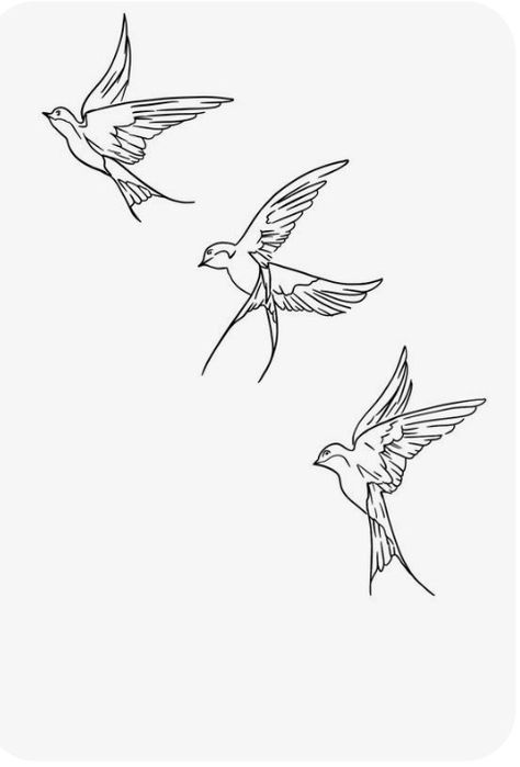 Birds Line Drawing, Bird Tattoo Linework, Scissor Tail Bird Tattoo, Scissor Tailed Flycatcher Tattoo, Three Bird Tattoo, 3 Birds Tattoo, Three Birds Tattoo, Quetzal Tattoo, Bird Line Drawing