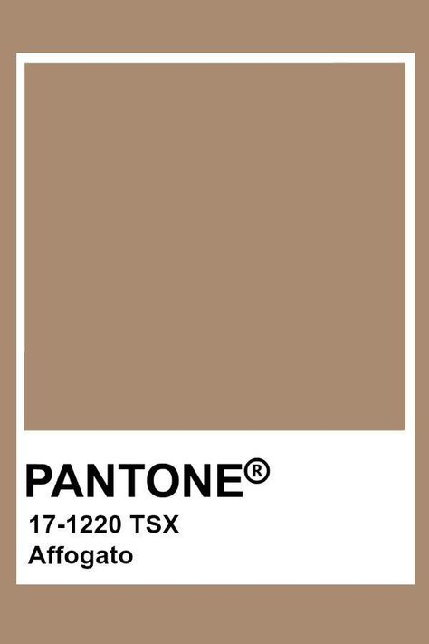 Pantone Beige Shades, Pantone Colors Brown, Pantone Brown Shades, Light Brown Pantone, Plain Color Backgrounds, Pantone Brown, Backgrounds Neutral, Pantone Shades, Beige Pantone