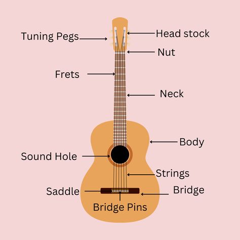 Basic Guitar Anatomy : Parts of the Acoustic Guitar Basics Of Guitar, Parts Of The Guitar, Acoustic Guitar Anatomy, Acoustic Guitar Tips For Beginners, Basic Guitar Strumming Patterns, Guitar Basics, Guitar Anatomy, Guitar Improvisation, Basic Anatomy