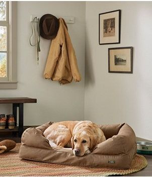 Outdoor Accessories | Outdoor Equipment at L.L.Bean Dog Bed Couch, Denim Dog Bed, Couch Beds, Dog Couch Bed, Couch Styling, Dog Couch, Denim Dog, Bed Couch, Older Dogs