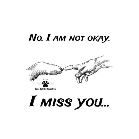 Losing A Dog Quotes, Losing A Pet Quotes, Dog Heaven Quotes, I Miss My Cat, Miss My Dog, Animal Tattoo Ideas, Gone But Not Forgotten, Dog Quotes Love, Heaven Quotes