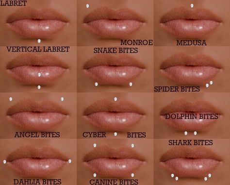 Pin on designs Lip Piercing Chart, Cute Facial Piercings Nose, Mouth Piercings Chart, Mouth Piercings Lips, Face Piercings Chart, Piercing No Rosto, Cute Facial Piercings, Ear Piercings Names, Piercings Chart