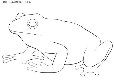 How to Draw a Frog - Easy Drawing Art Amphibians Drawing, Cartoon Step By Step, Draw A Frog, Frog Cartoon, Spider Coloring Page, Drawing Things, Frog Drawing, Lino Cut, Drawing Tutorial Easy