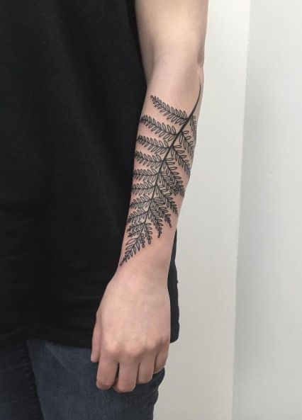 Best Sleeve Tattoos Men, Sleeve Tattoos Men, American Traditional Tattoos, Fern Tattoo, Tattoos Men, Forarm Tattoos, Tattoo Zeichnungen, Fern Frond, Inspiration Tattoos