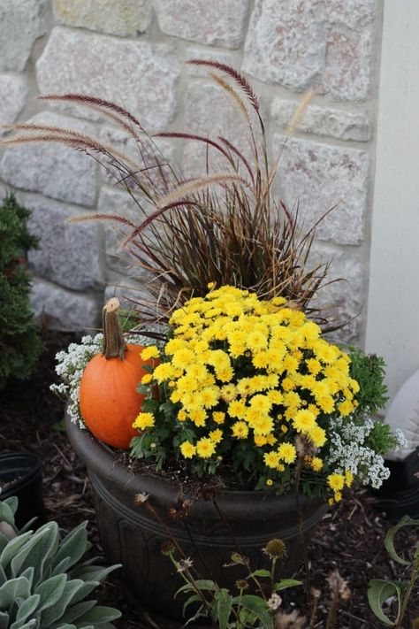 My fall planters were so easy to do this year! I kept the purple fountain grass that I planted in the spring and used that as a basis for my fall planters. I used cheap pumpkins, mums and dried hydrangeas from my garden to make fall container gardens I love! Fall Potted Plants, Fall Urn, Shade Plants Container, Porch Planter Ideas, Fall Flower Pots, Fall Container Plants, Fall Pots, Fall Window Boxes, Summer Planter