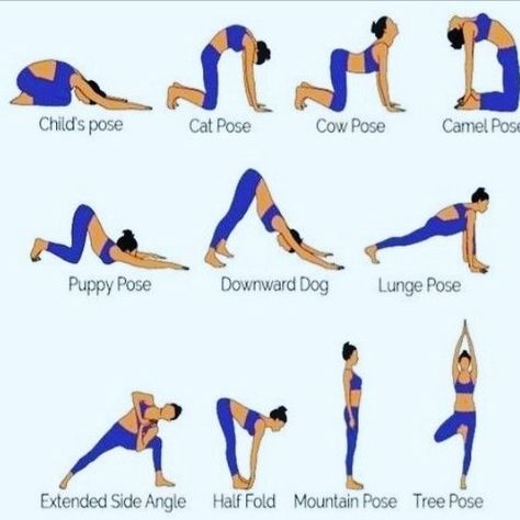 Get Taller Exercises, Grow Taller Exercises, Taller Exercises, Increase Height Exercise, Yoga Facts, Grow Taller, Daily Yoga Workout, Basic Workout, Height Increase