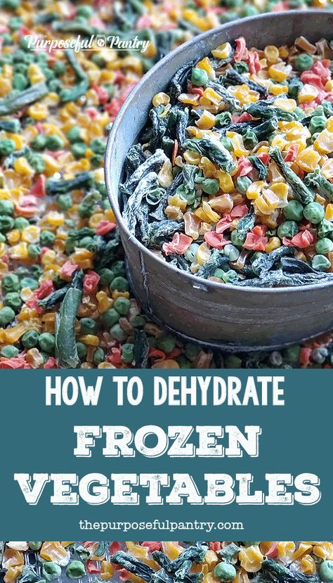 How To Dehydrate Meals, Dehydrating Canned Vegetables, Dehydrating For Beginners, How To Dehydrate Vegetables, Food Dehydrator Recipes Veggies, Dehydrating Garlic In Dehydrator, Dehydrating Frozen Vegetables, Dehydrating Frozen Fruit, Canning Frozen Vegetables