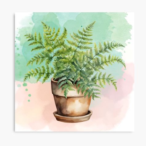 Get my art printed on awesome products. Support me at Redbubble #RBandME: https://www.redbubble.com/i/metal-print/Fern-Plant-Botanical-Art-Watercolor-Design-by-tamscherck/164000750.0JXQP?asc=u Blue Planter, Fern Plant, Watercolor Design, Art Watercolor, Botanical Art, Brilliant Colors, Fern, Colored Pencils, Watercolor Art