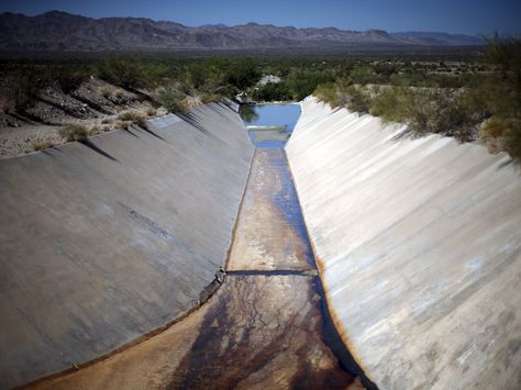 Around the world, people are eating more of one type of food — and it's bad news for the planet California Drought, Water Shortage, Agent Of Change, Finance Saving, How To Protect Yourself, Identity Theft, Environmental Issues, Save Water, Types Of Food