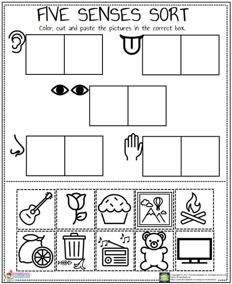 Number 4 Find And Color Worksheet – Preschoolplanet 5 Senses Craft, 5 Senses Preschool, 5 Senses Worksheet, Five Senses Worksheet, Five Senses Preschool, 5 Senses Activities, Senses Preschool, My Five Senses, Body Parts Preschool