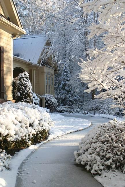 Splendid Beauty of Winter Gardens, Graphics of Natural Compositions Beauty Of Winter, Winter Gardens, Diy Garden Fountains, Job Hiring, Eco Friendly Garden, Covered Garden, Garden Fountain, Flowers Handmade, Blooming Plants