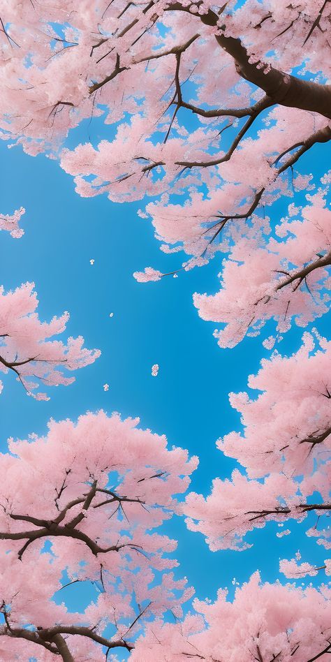 Nature, Bonito, Cherry Blossom Wallpaper Iphone, Blossom Wallpaper, Cherry Blossom Wallpaper, Summer Wallpapers, Spring Scene, Wallpaper Iphone Summer, Nature Spring