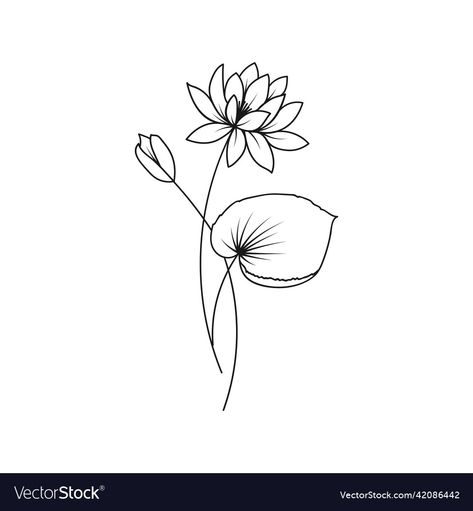 Water Lily July Tattoo, Simple Water Lily Drawing, Water Lily Line Tattoo, Water Lily Birth Flower Tattoo, July Birth Month Flower Tattoo, Waterlilly Tattoo Fineline, July Birth Tattoo, July Water Lily Tattoo, Simple Water Lily Tattoo