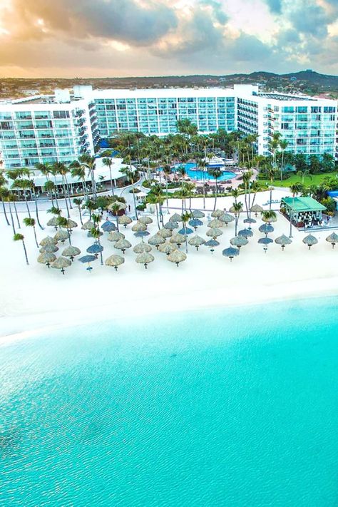 Stunning Beachfront Hotels In Aruba Aruba Hotels, Beachfront Hotels, Island Destinations, The Palms, Tropical Getaways, Beachfront Property, Tropical Island, Caribbean Sea, Tropical Islands