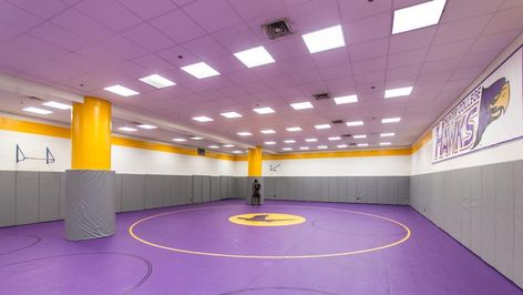 Wrestling Room - Facilities - Hunter College Athletics Wrestling Room, Cornell College, College Wrestling, Environmental Branding, Sports Facility, Hawk Logo, Hunter College, Wrestling Team, Wrestling Posters