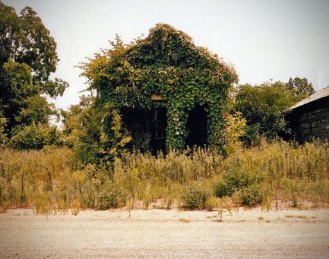 William Christenberry William Christenberry, Another Green World, William Eggleston, Abandoned House, New Museum, To Infinity And Beyond, Back To Nature, Abandoned Houses, The Real World