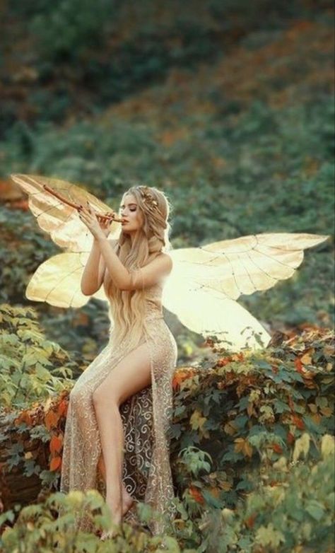 Garden Fairy Costume, Fairy Photography, Fairy Photoshoot, Fairies Photos, Fairy Images, Fairytale Photography, Fairy Artwork, Fantasy Photography, Fairies Elves