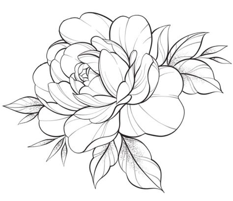 Floral Tattoo Stencil, Flower Tattoo Stencils, Peony Drawing, Japanese Flower Tattoo, Traditional Tattoo Designs, Full Tattoo, Line Art Flowers, Flower Outline, Folk Art Flowers