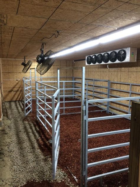 Cattle Diy Ideas, Cattle Show Box Ideas, Cow Stall Ideas, Cattle Farming Layout, Show Lamb Barn Ideas, Show Pig Barn, Livestock Barn Plans, Show Barn Ideas Cattle, Show Cattle Barn Layout