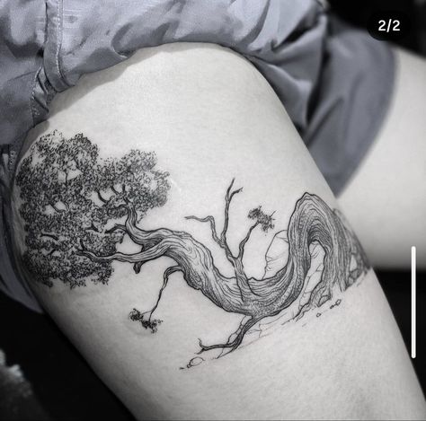 Giant Sequoia Tree Tattoo, Yew Tree Tattoo, Eucalyptus Tree Tattoo, Juniper Tree Tattoo, Cypress Tree Tattoo, Juniper Tattoo, Trees Tattoo, Wrap Around Tattoo, Black Tattoo Cover Up