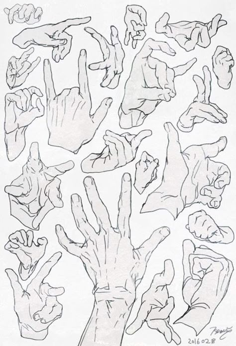 Sketch Tips, Hand References, Hand Gestures, Human Anatomy Drawing, Hand Drawing Reference, Human Anatomy Art, Anatomy Sketches, Body Reference Drawing, Anatomy References