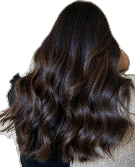 Brown Hair With Warm Highlights, Dark Chocolate Hair, Dark Chocolate Brown Hair, Brown Hair Color Shades, Natural Brown Hair, Warm Brown Hair, Cinnamon Hair, Warm Highlights, Brown Hair Color Ideas