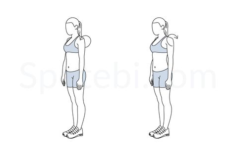 Shoulder rolls exercise guide with instructions, demonstration, calories burned and muscles worked. Learn proper form, discover all health benefits and choose a workout. Calf Raises Exercise, Workouts Without Equipment, Back Fat Workout, Calories Burned, Killer Workouts, Shin Splints, Calf Raises, Workout Without Gym, Weekly Workout