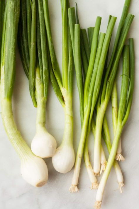 What’s the Difference Between Scallions, Green Onions, and Spring Onions? | Kitchn Onion Bulbs, Pearl Onions, Spring Onions, Onion Recipes, Green Spring, Spring Onion, Green Onions, Leeks, Food Hacks