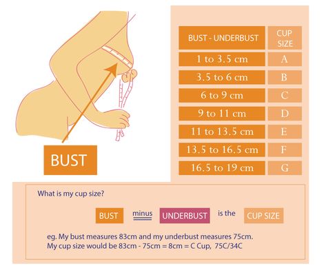 Bra Size Chart, Correct Bra Sizing, Measure Bra Size, Bra Sewing Pattern, Bra Size Calculator, Bra Fitting Guide, Bra Sewing, Bra Measurements, Lingerie Brands