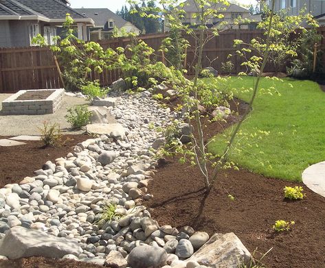 Solving Water Problems With Dry Creek Beds | Frontier Landscaping Creek Bed Landscaping, Drainage Ideas, Dry Creek Bed, Dry River, Drainage Solutions, Shady Tree, Creek Bed, River Bed, Dry Creek