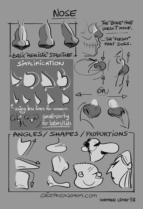 Tuesday Tip —- The Nose  Here’s the way I approach the nose. For my taste, the simpler, the better. But it’s always good to know what you’re working with. great Tuesday!  -Norm Draw Noses, رسم كاريكاتير, 얼굴 드로잉, Draw Cartoon, Drawing Lesson, Nose Drawing, Gesture Drawing, Nose Art, Anatomy Drawing