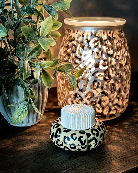 Savanna Warmer Scentsy Host, Scentsy Oils, Scentsy Warmers, House Smell Good, Laser Design, Scentsy Party, Scentsy Wax Bars, Scentsy Buddy, Wall Fan