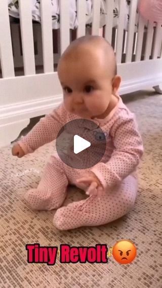 Laughing Babies Video, Funny Baby Videos Hilarious Kids, Funny Babies Videos, Baby Videos Cute, Baby Laughing Video, Funny Kids Videos, Baby Funny Videos, Baby Humour, Funny Baby Cartoon