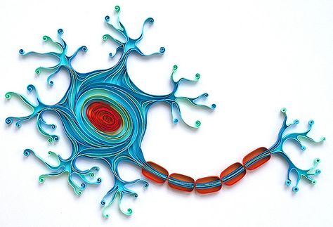 dinosaurio quilled Neuron Model, Cell Model Project, Cells Project, Biology Projects, Cell Model, Paper Art Design, Brain Art, Origami Paper Art, Nerve Cell