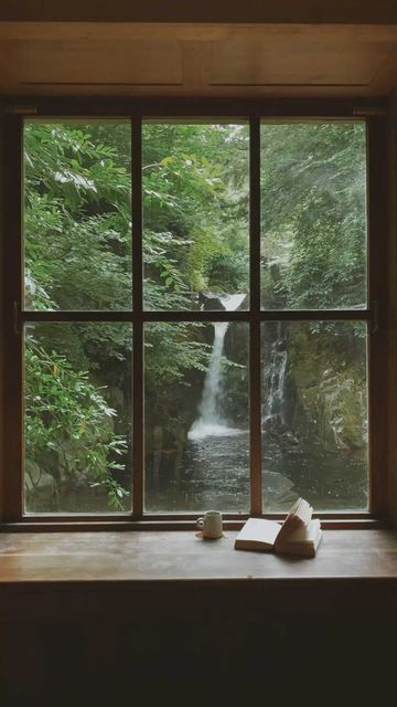 Dark Homes, Gary Snyder, Big Windows, Place To Visit, Window View, Forest House, Through The Window, Green Nature, Pretty House