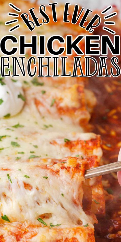 Baked Chicken Tortillas, Chicken Enchilada Casserole With Cream Cheese, Best Enchiladas Chicken, Enchalidas Recipes Chicken Enchiladas, Baked Chicken Enchiladas Easy, Chicken Enchiladas Easy Red Sauce Cream Cheese, Chicken Enchiladas With Queso Sauce, Baked Enchiladas Chicken, Chicken Enchiladas Cream Cheese